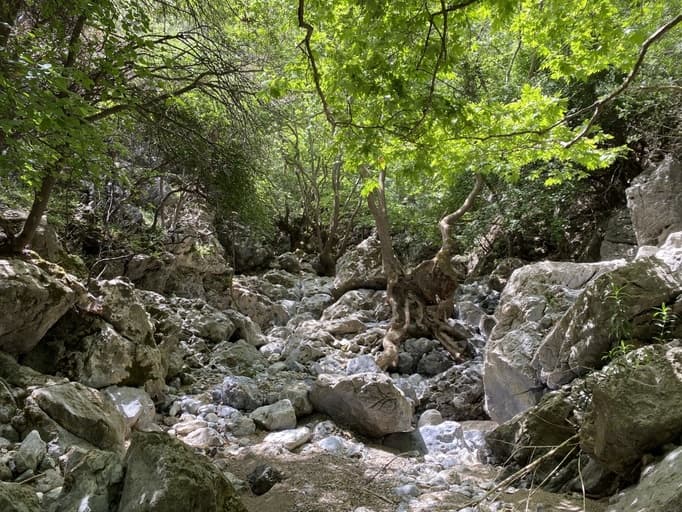 Trekking to two unknown gorges in the region of Rethymno-image