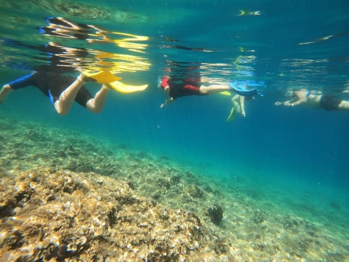 Snorkeling Boat Trips -image