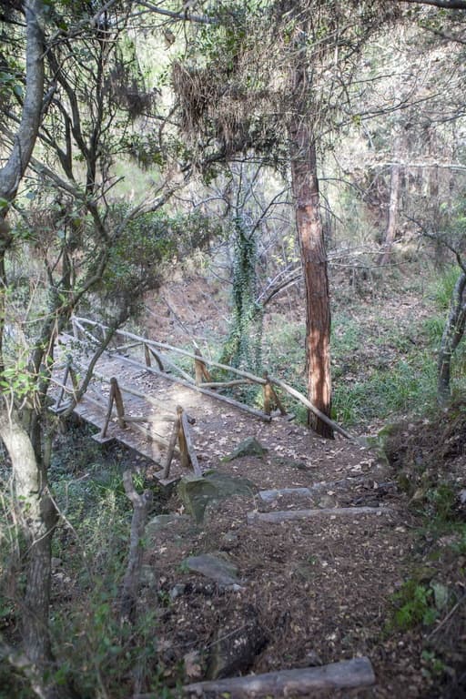 Run and hike in Thessaloniki - Panorama Trail-image