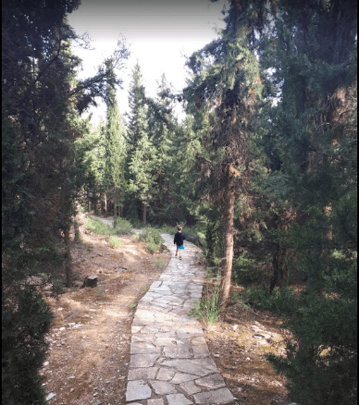 Run and hike in Thessaloniki - Kryoneri Trail-image