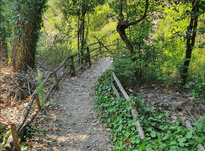 Run and hike in Thessaloniki - Kranos Trail-image