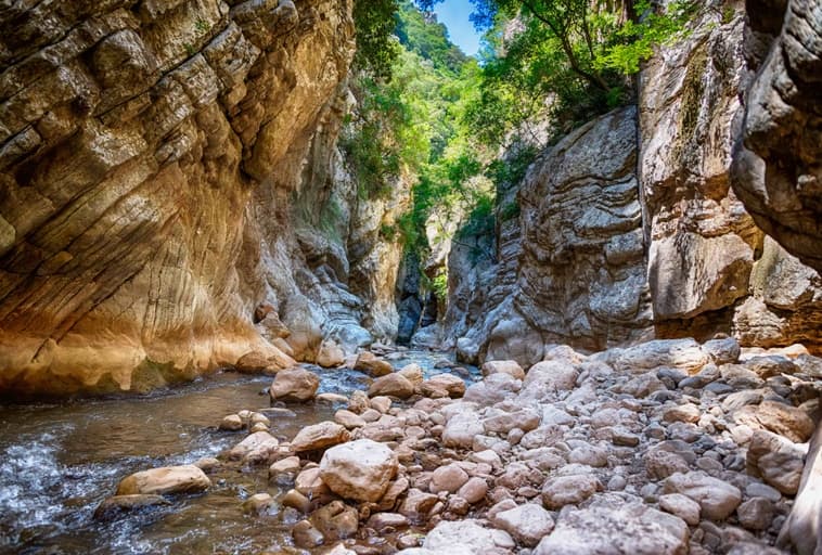 River Trekking Neda-image